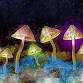 The Science of Psychedelics event image