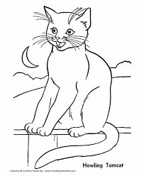 Cats are small, furry animals that are often kept as pets throughout the world. Coloring Pages Of A Cat Coloring Home