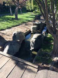 Japanese Friendship Garden San Jose California Backyard Stream Pond Landscape Pond