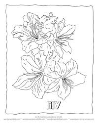 In 20th century scientists have studied some of the therapeutic advantages of coloring pages, especially for adults. Lily Flower Coloring Pages Coloring Home