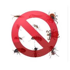 Mids pest control is a leading provider of pest control services in hertfordshire. 64 Pest Control Ideas Pest Control Pests Pest Control Services