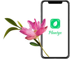 Have you ever been left wondering what the name of a beautiful flower aspiring gardeners who have been left trying to identify a plant have been given a helping hand by a new apple iphone and ipad app launched today. Plant Identification App 1 Plantyx App