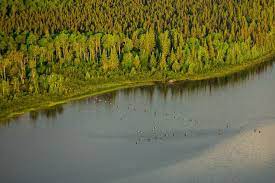 Riviere Harricana Harricana River Abitibi Qc Canada Aerien Aerial River Hudson Bay Outdoor
