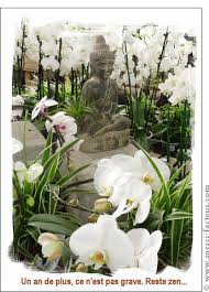 Cartes virtuelles meilleurs voeux 2021. Merci Facteur Reste Zen Carte Anniversaire 70 Ans Carte Anniversaire Anniversaire 70 Ans