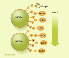 Ultrapure Ion Pairing Reagents & Buffers | Regis Technologies