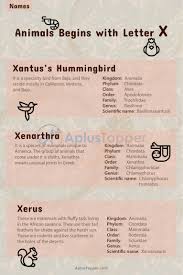Animals beginning with x · xanthippe's shrew (crocidura xantippe) · xoloitzcuintli or xolo (a hairless domestic dog breed in mexico) . Animals That Start With X Listed With Pictures Alphabetical List Of 10 Animals Starting With X Pictures Intersting Facts A Plus Topper