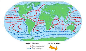 Animation Global Ocean Currents Ocean Current Geography Activities Weather And Climate