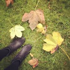 Pin By Merci Pour Le Chocolat On My Instagram Instagram Instagram Posts Hunter Boots