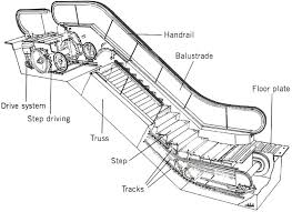Section Drawing Of An Escalator I Always Wondered Where The Steps Went 1024x744 Thingscutinhalfporn Section Drawing Escalator Elevator Design