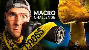 Train Your Eye for Light: A Macro Photography Walk in the Forest