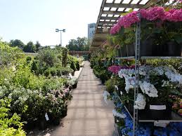 The twelfth century fortress was extended and refurbished several times throughout the centuries. Les Jardins Du Louvre Lens Le Jardin