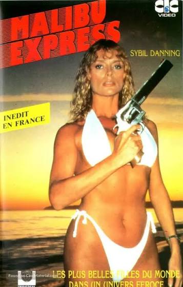 Malibu Express (1985) French vhs movie cover