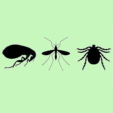 This means we control mosquitos and ticks better and can use less control material and more of our natural blend of plant extracts, he said. Service And Homemade Remedy Tips To Get Rid Of Fleas Ticks And Mosquitoes In Your Yard