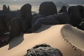 Timimoune capitale des Déserts du monde : Un choix dicté par la  biodiversité exceptionnelle de la région - Algerie360