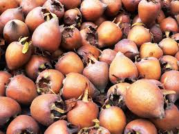 Over 50% of this unusual fruit is essential fatty acids which mean it is really good for you. Unusual Fruits Delicious Nutritious And No One S Ever Heard Of Them Rolling Green Nursery