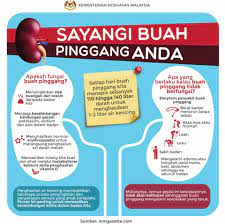 Penyakit buah pinggang semangnya bahaya,namun disini kami kongsikan penawar kampung yang boleh diamalkan untuk. Hargai Buah Pinggang Kementerian Kesihatan Malaysia Facebook