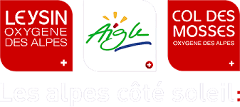 Image result for marche australia 1981 2021 loghi logo