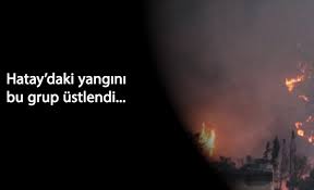 We did not find results for: Hatay Daki Orman Yanginini Ustlendiler Atesin Cocuklari Inisiyatifi Nedir