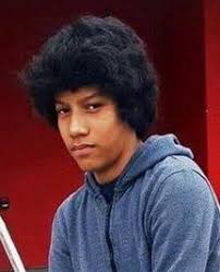 Luisito "Luis" Eduardo Ronquillo Alvarado Jr., age 13