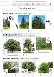 Epingle Sur Ecole Elementaire