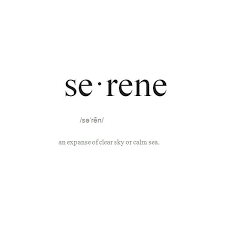 Tumblr Liked On Polyvore Featuring Words Text Fillers Quotes Definitions Doodle Backgrounds Saying Phrase And Sc Weird Words Unusual Words Rare Words