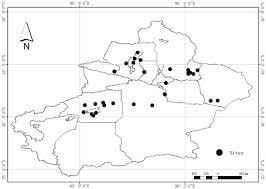 Image result for Zygophyllum leucocladum