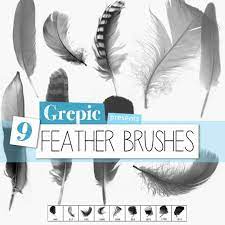 9 Highres High Quality Photoshop Brushes Of Beautiful Feathers Excellent To Be Used With Any Photoshop Photography Photoshop Brushes Photo Editing Photoshop