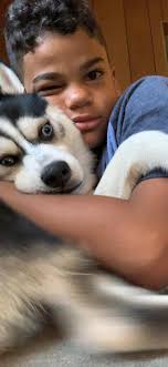 The officer talked about how K-9 Ragnar got out of his outdoor kennel and  bit a two-year-old girl across the fence at her backyard birthday party.