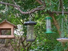 Squirrel stopper sqc05 pole and baffle set. How To Hang A Bird Feeder