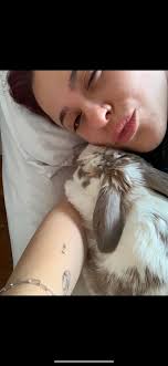 Hi there. I lost my bunny Kiwi