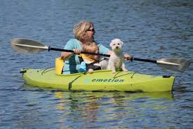 Kayaks do not need to be licensed, though, because they're not motorized. Have A Great Day Paddling With Our Kayak Rentals On Lake Wallenpaupack Silver Birches Resort