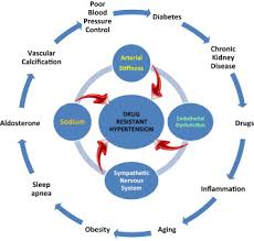 Image result for Resistant Hypertension