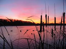 You can also upload and share your favorite hunting wallpapers. Duck Hunting Backgrounds Wallpaper Cave