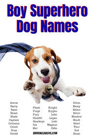 The Best Boy Dog Names List With Meanings In 2020 Boy Dog Names Dogs Names List Good Boy Dog Names