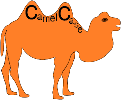 Camel case (sometimes stylized as camelcase or camelcase; Naming Convention In Java Ronokbhowmik Com