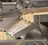 Pistachio Processing Automation - ICAD Automation