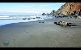 Virtual Morning Walk On The Beach Beach Walk Beach Beautiful Beaches
