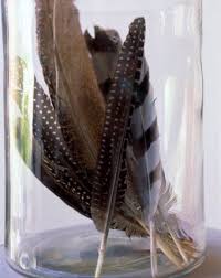 Birds Of A Feather Williamsburg Craftiments Decorating With Feathers Feather Decor Nature Decor Displaying Collections