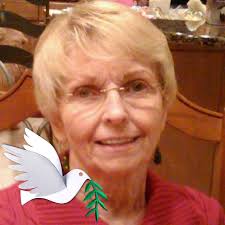 Severe Storm Surge and Flooding in Lido Community