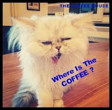 Where Is The Coffee Cat Coffee Coffee Humor Good Morning Cat