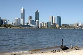 Maybe you would like to learn more about one of these? Swan River Western Australia Wikipedia