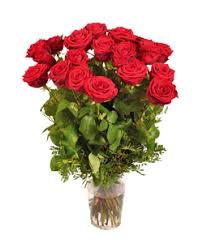 Cerca questo pin e molto altro su rose puntocroce di manuela martis. Mazzo Di 20 Rose Rosse Red Naomi La Rosa Per Eccellenza