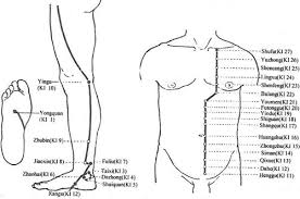 Acupuncture Com Acupuncture Points Kidney Meridian Channel
