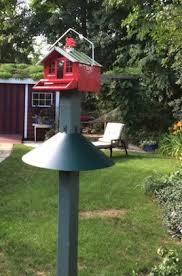 Maybe you would like to learn more about one of these? Squirrel Baffle Unique Birdhouse Boutique