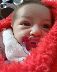 Feliz 6 meses, meu docinho!