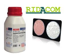 Penicillin or malachite green to inhibit other bacteria 2. Ridacom Comprehensive Bioscience Supplier Lowenstein Jensen Medium Base L J Medium Granulated