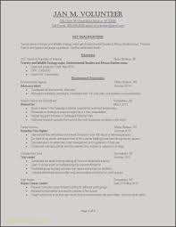 47 best resume formats pdf doc free premium templates. Ministry Resume Templates For Word Free Sample Resume Template Word Malaysia Inspiring Stock Job Best Best Vincegray2014