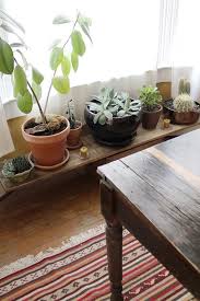 The Shutterbugs Jaclyn Campanaro Plant Table Window Plants Interior Garden