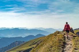 Lesen sie hier die aktuellsten news und neuesten reportagen aus ihrem bezirk. Neuorganisation Finanzverwaltung Kpmg Austria