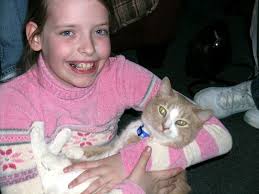 A birthday for the animals